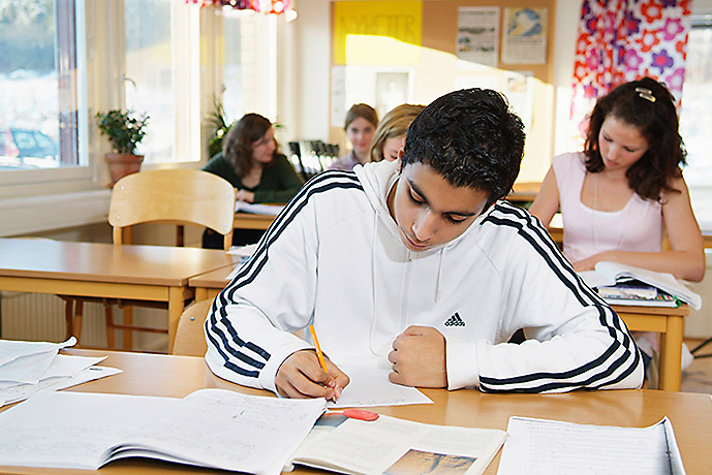 Young boy studying in a classrum.