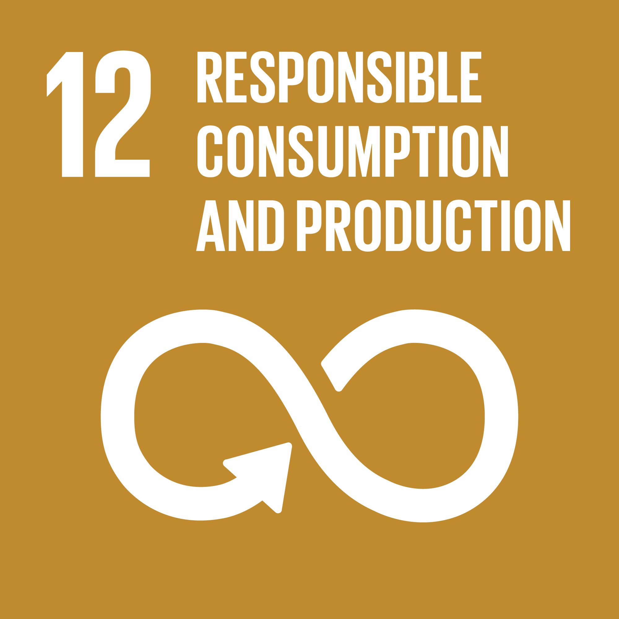 what does responsible consumption and production mean